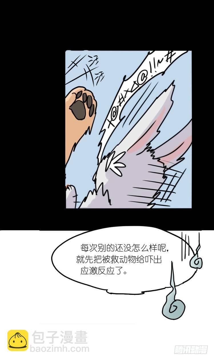 使命篇16：萌物们的新工作？