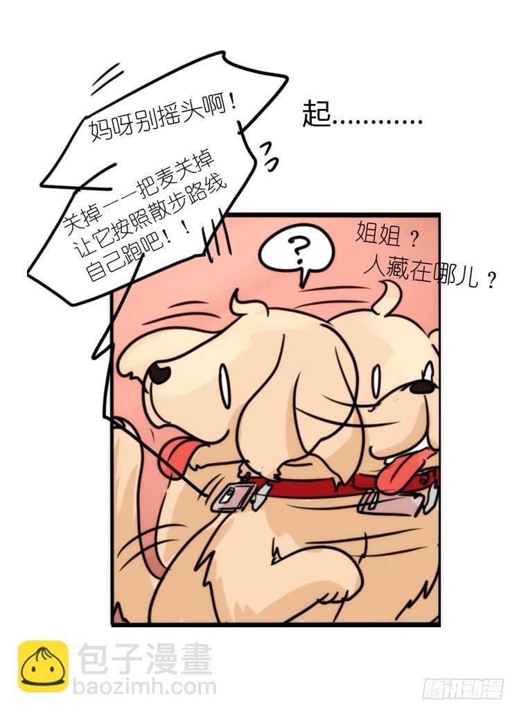 使命篇16：萌物们的新工作？