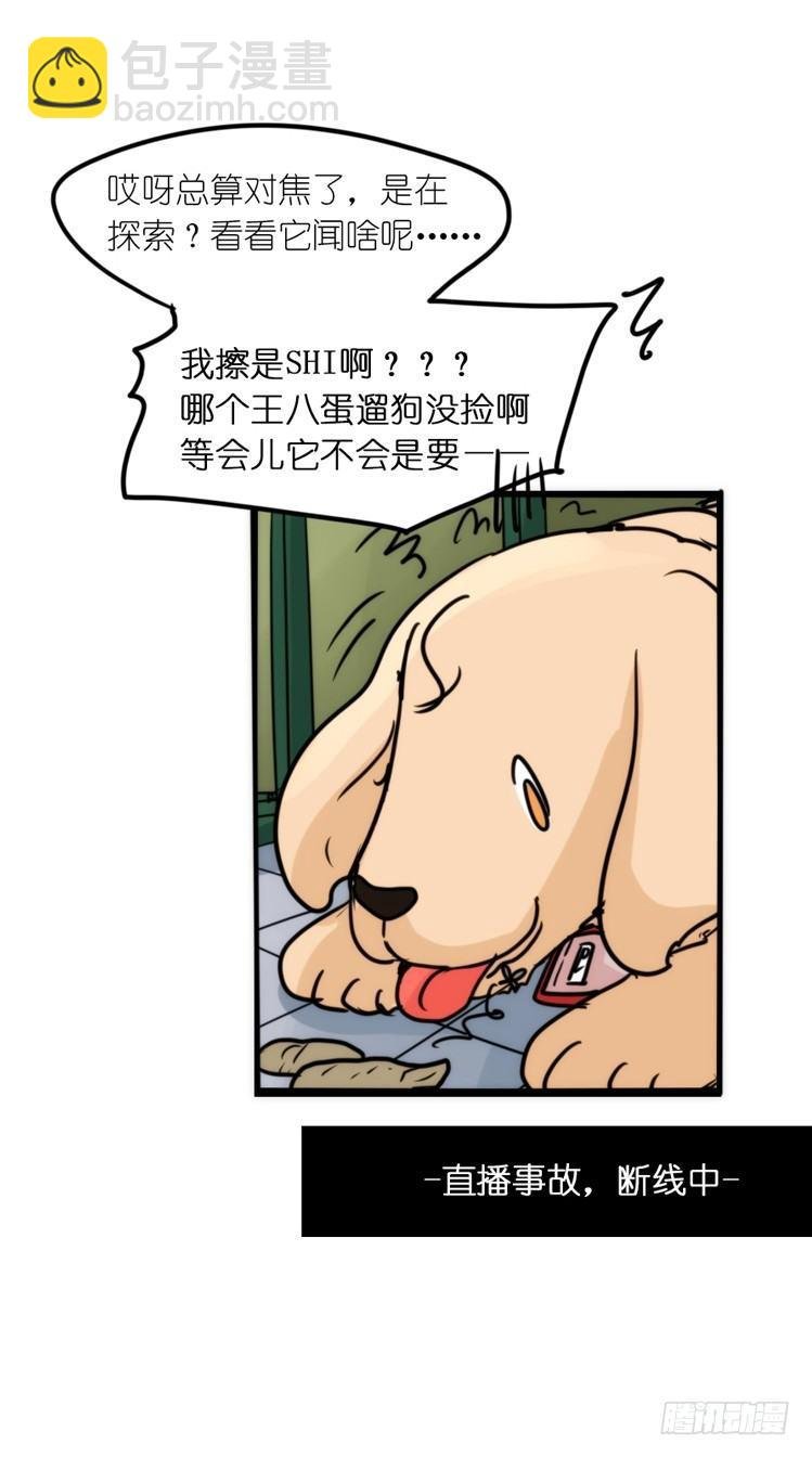 使命篇16：萌物们的新工作？