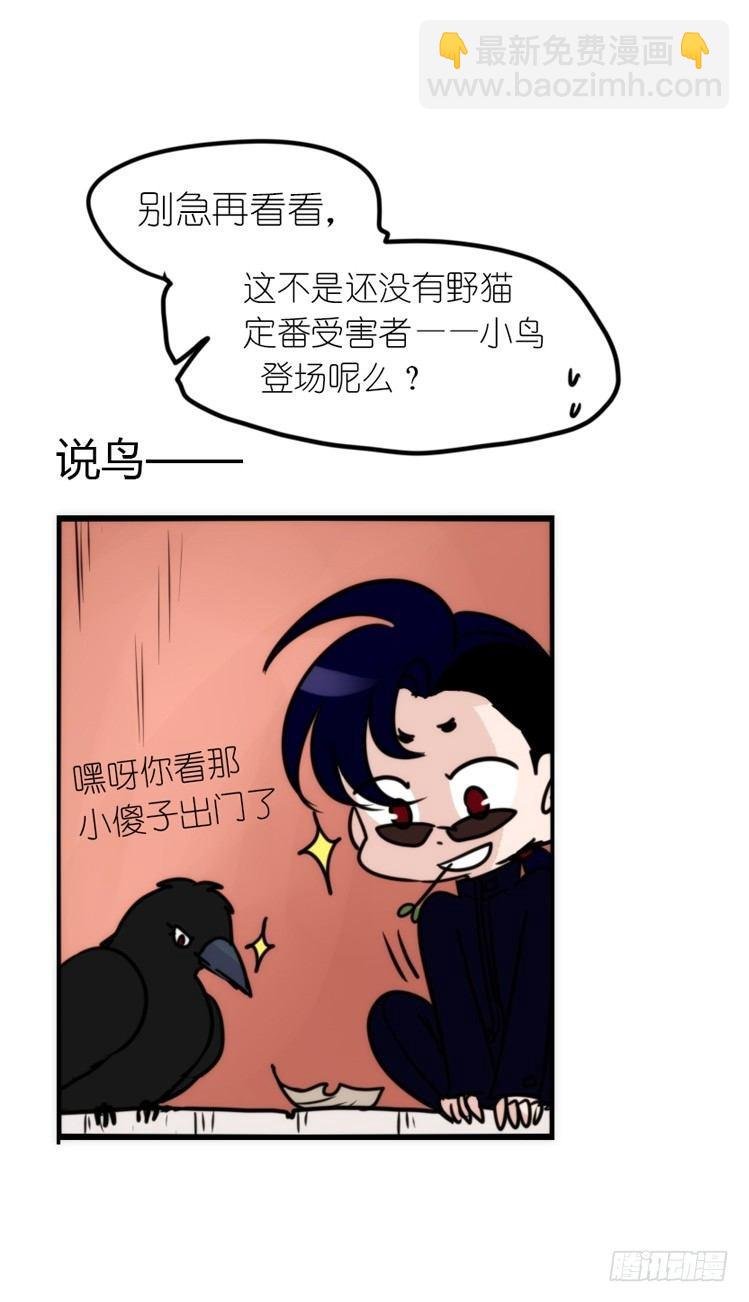 使命篇16：萌物们的新工作？