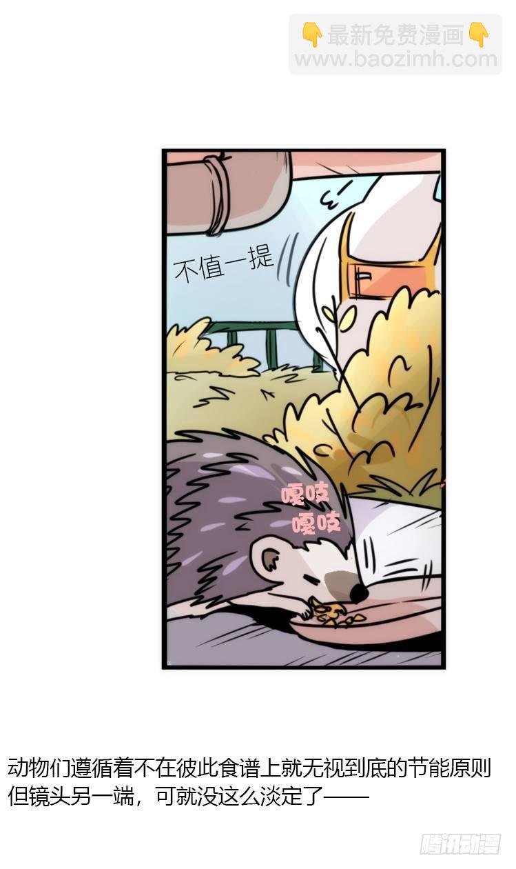 使命篇17：小客人