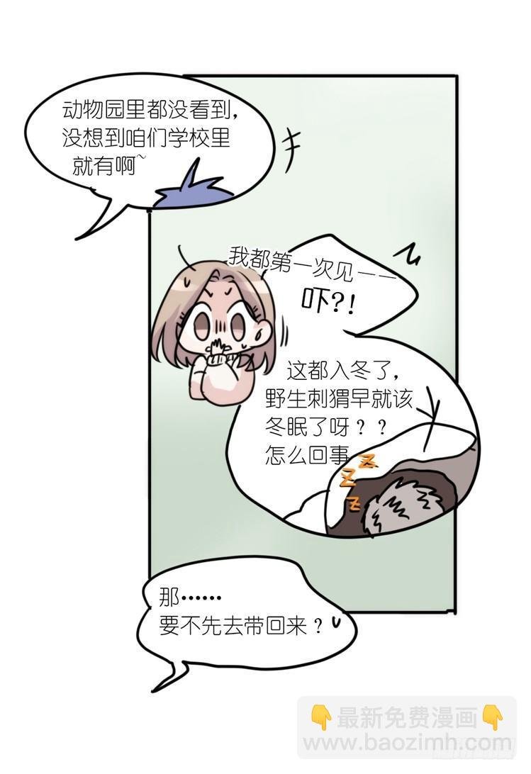 使命篇17：小客人