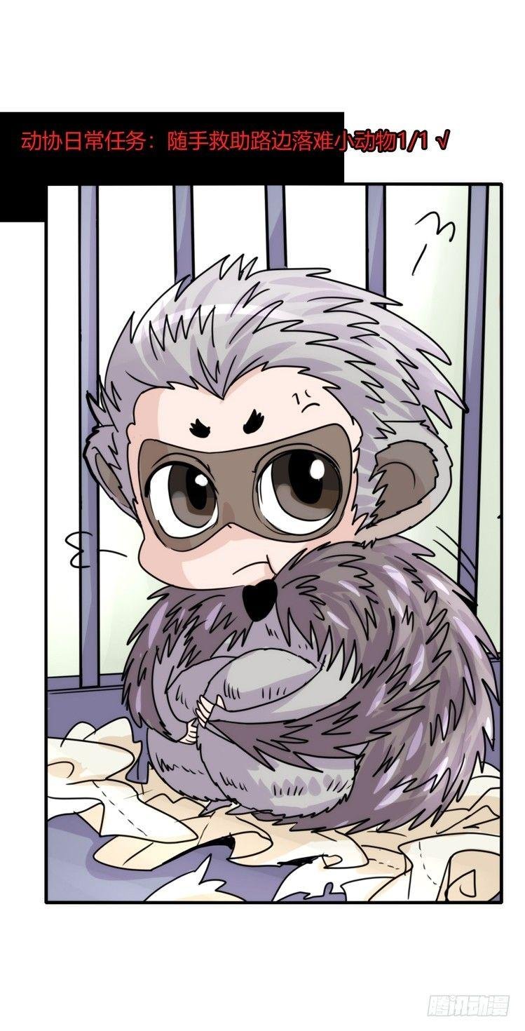 使命篇17：小客人