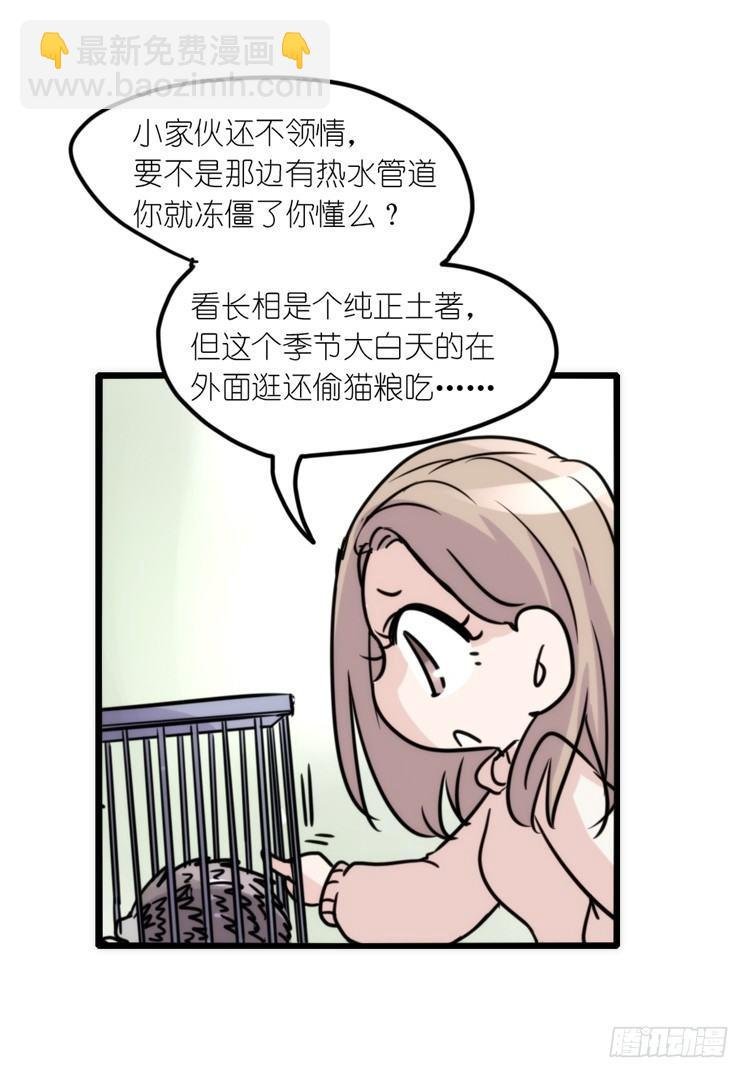 使命篇17：小客人