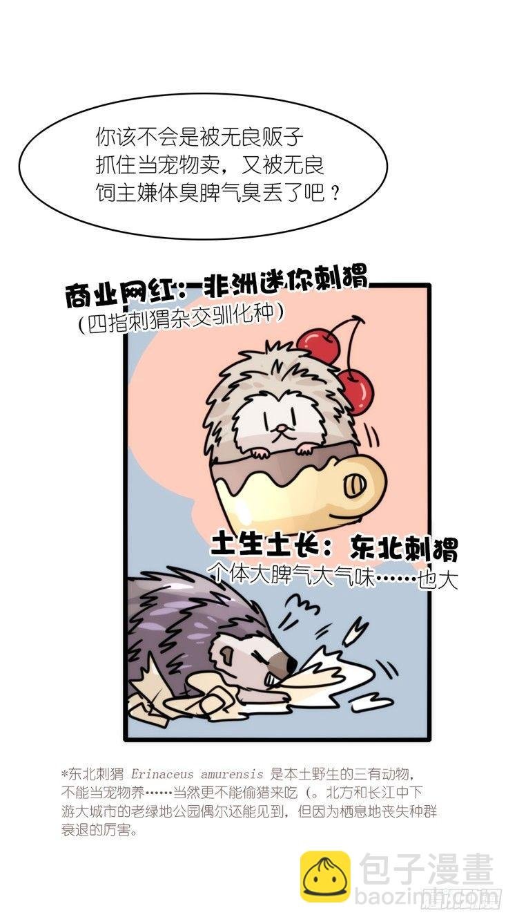 使命篇17：小客人