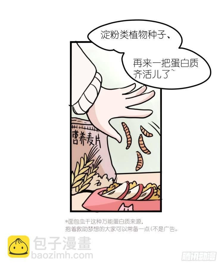 使命篇17：小客人