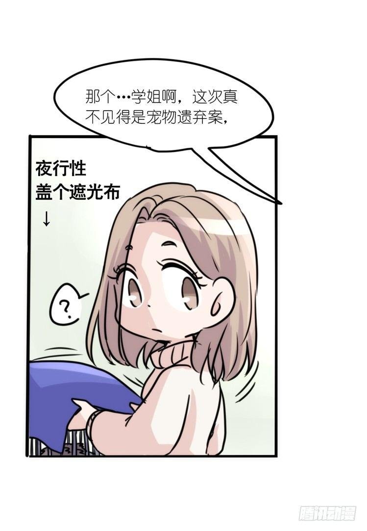使命篇17：小客人