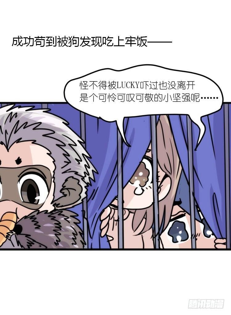 使命篇17：小客人