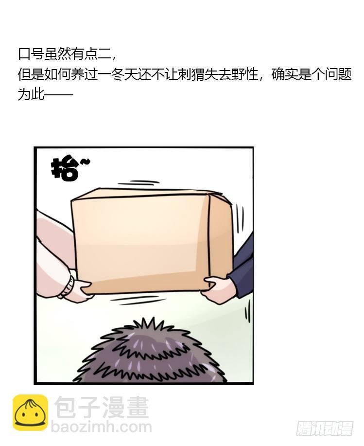使命篇17：小客人