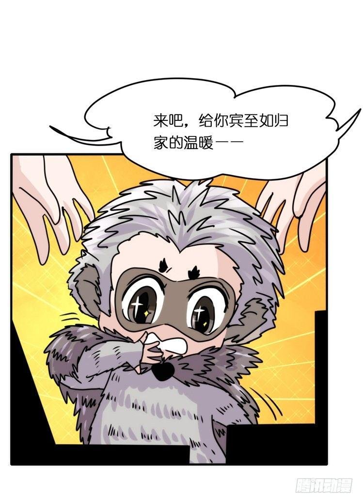 使命篇17：小客人