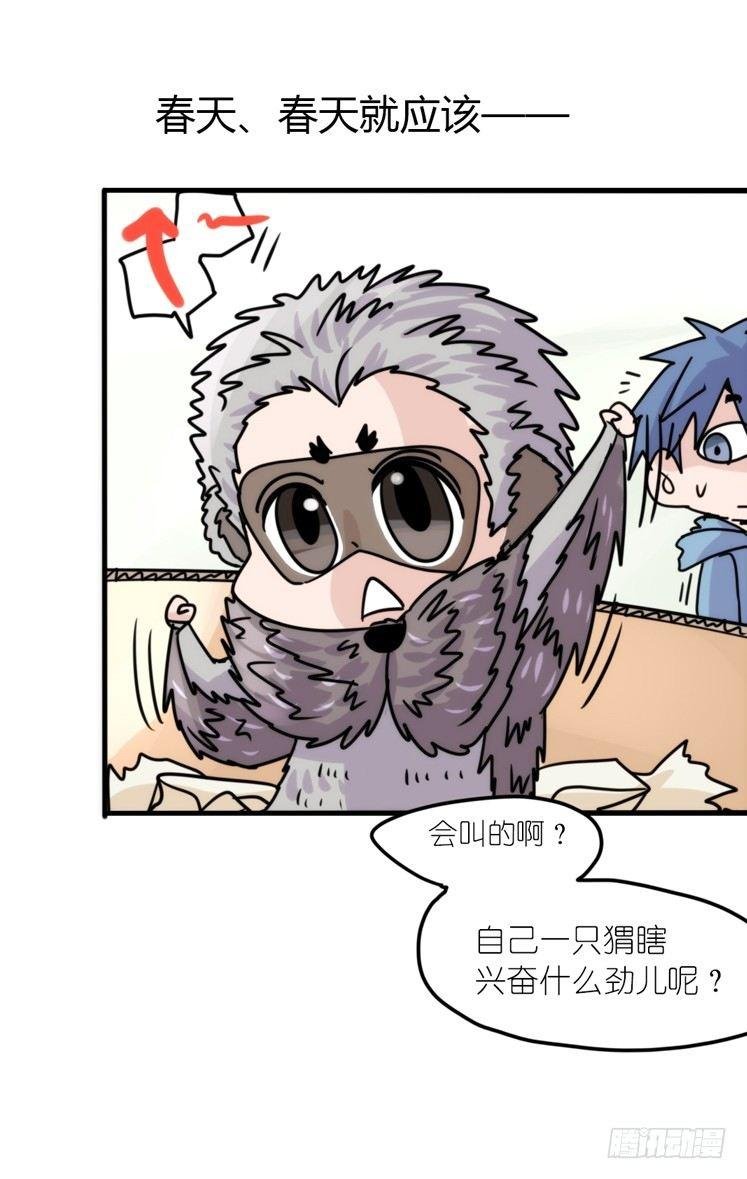 使命篇17：小客人