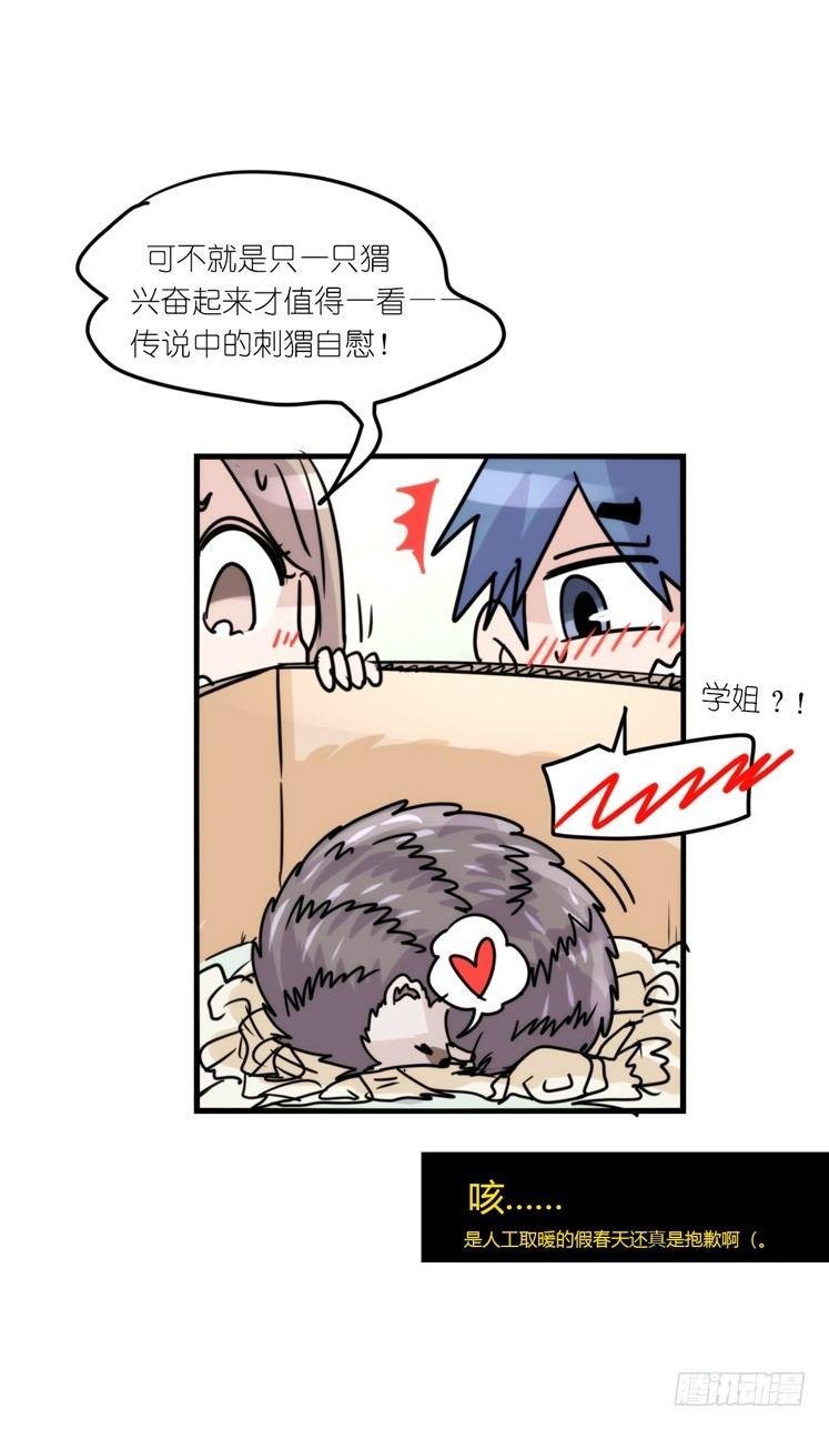 使命篇17：小客人
