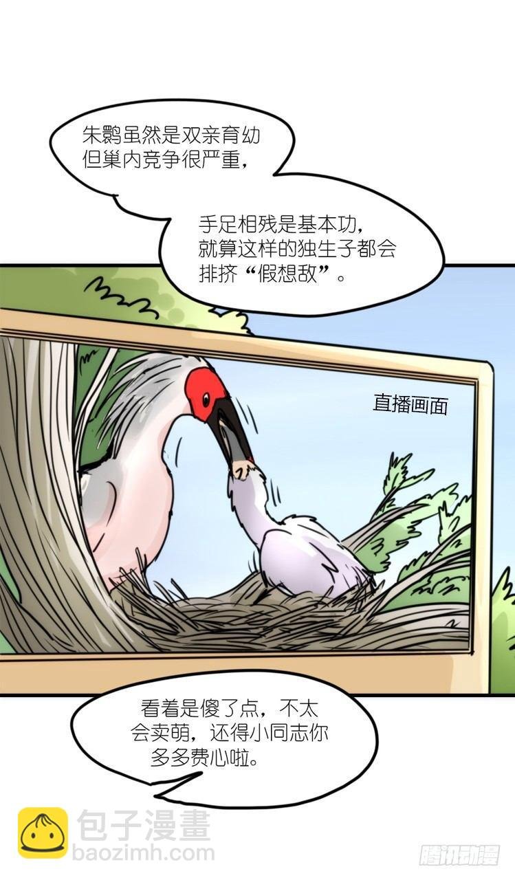 使命篇18：新工作来了