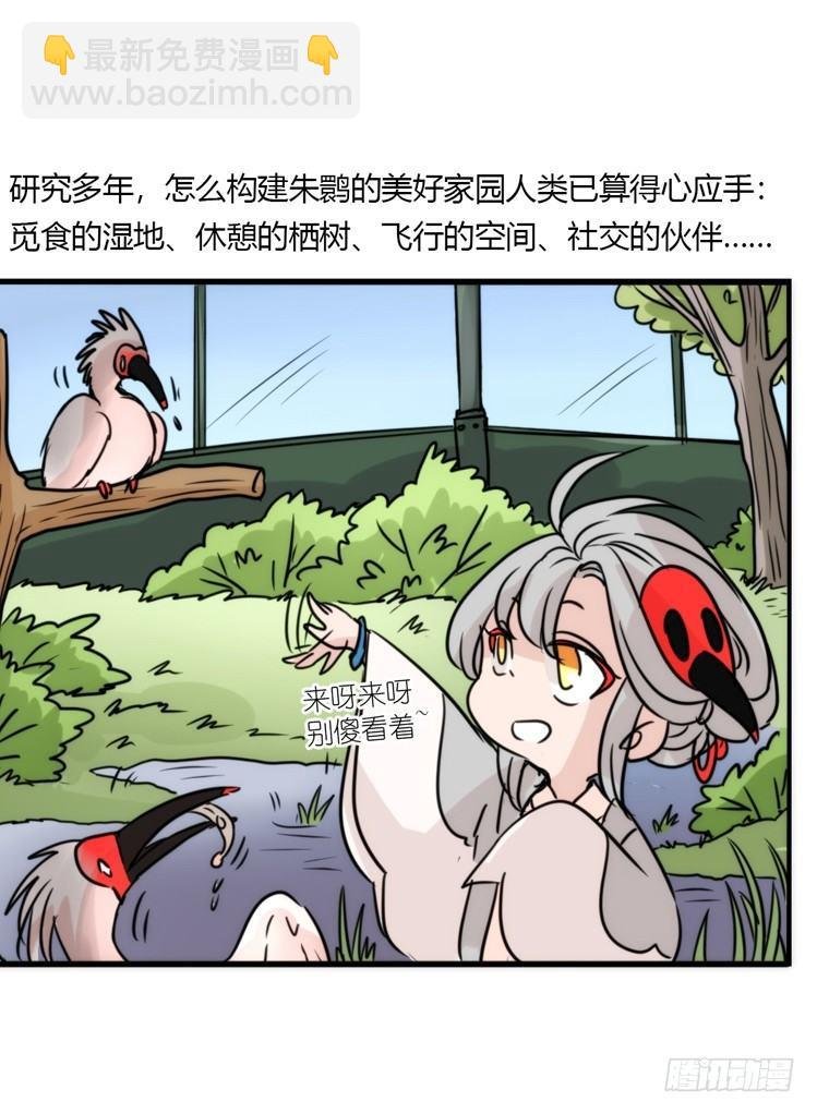 使命篇19：重振绯羽①