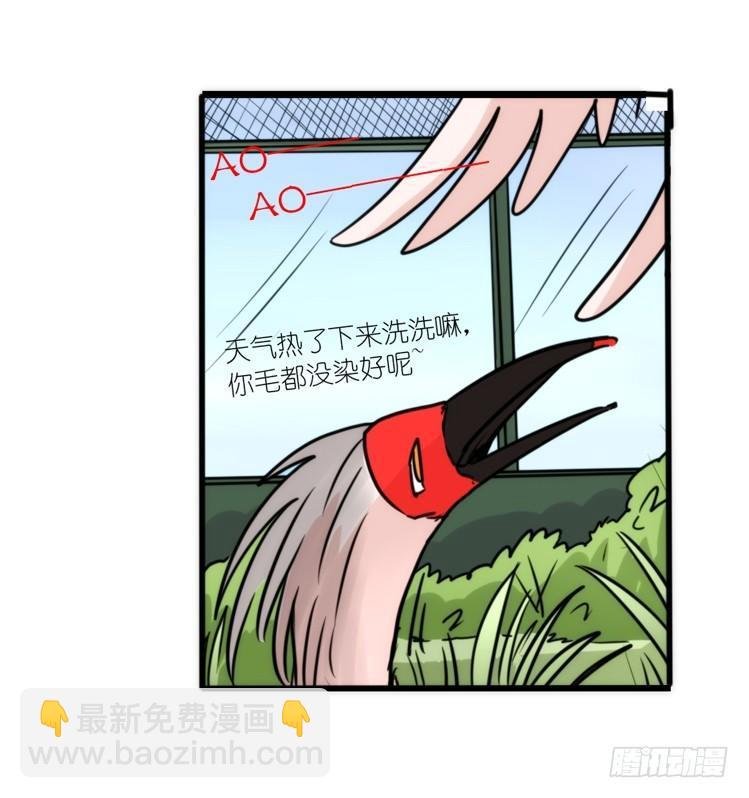 使命篇19：重振绯羽①
