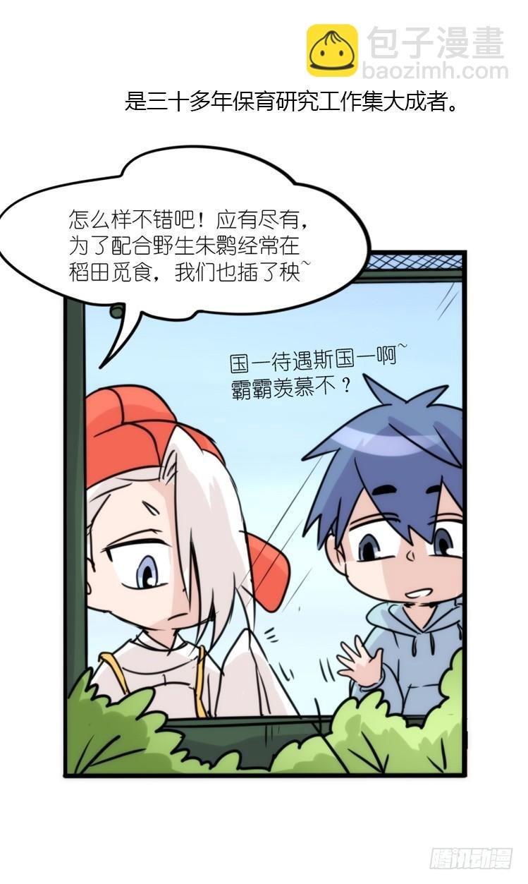 使命篇19：重振绯羽①