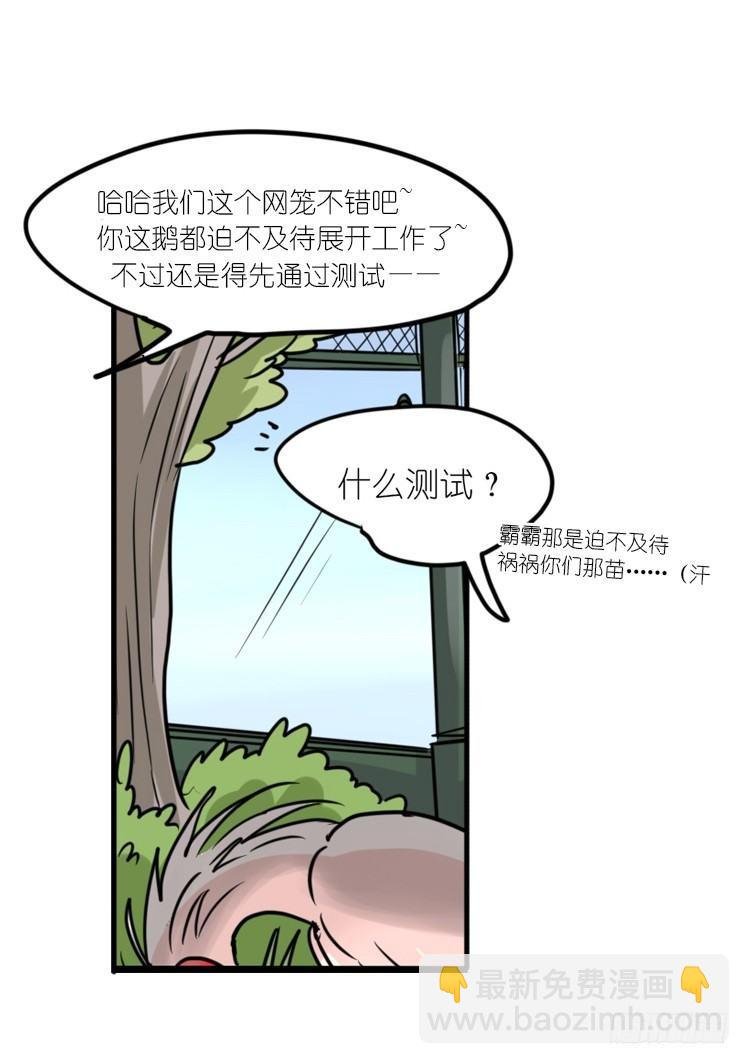 使命篇19：重振绯羽①