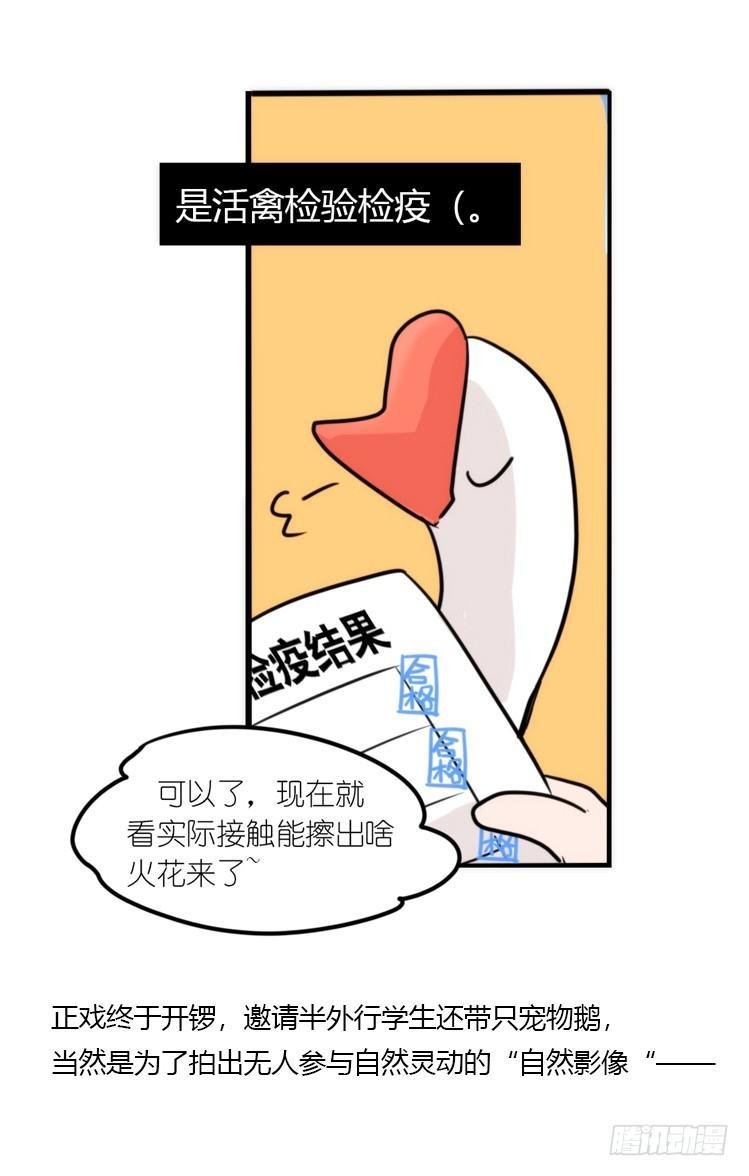 使命篇19：重振绯羽①