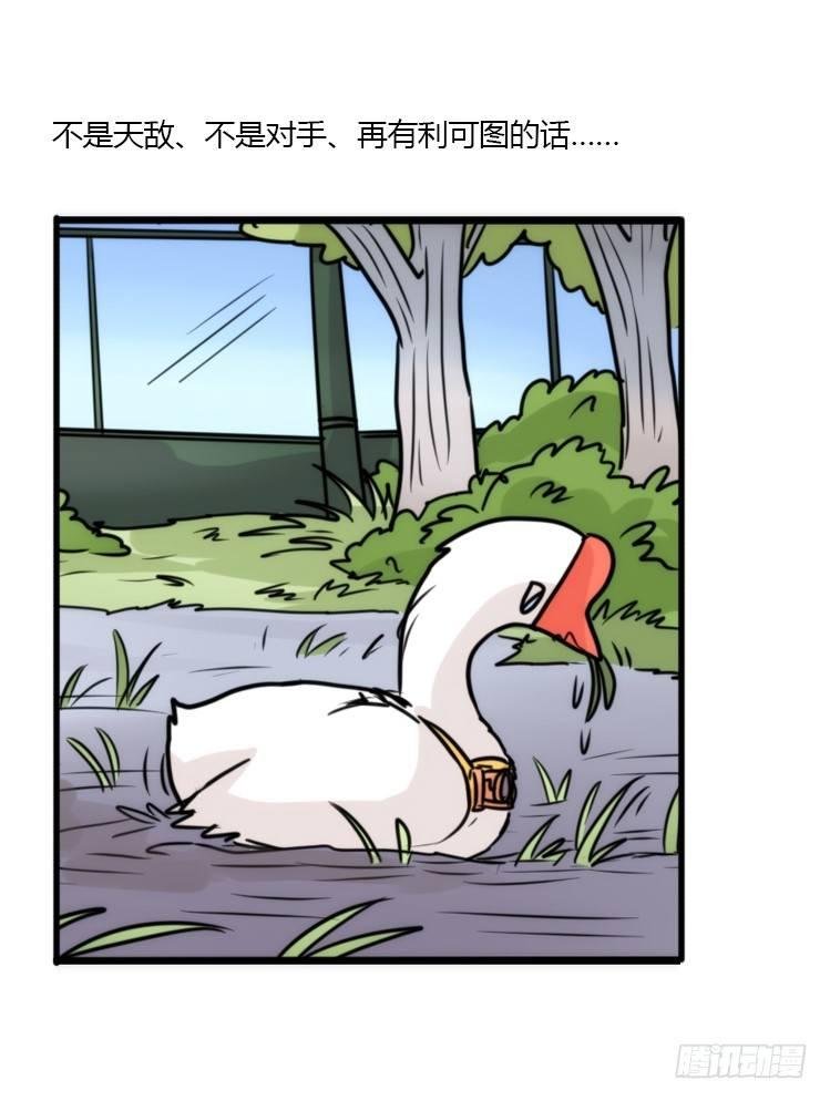 使命篇19：重振绯羽①