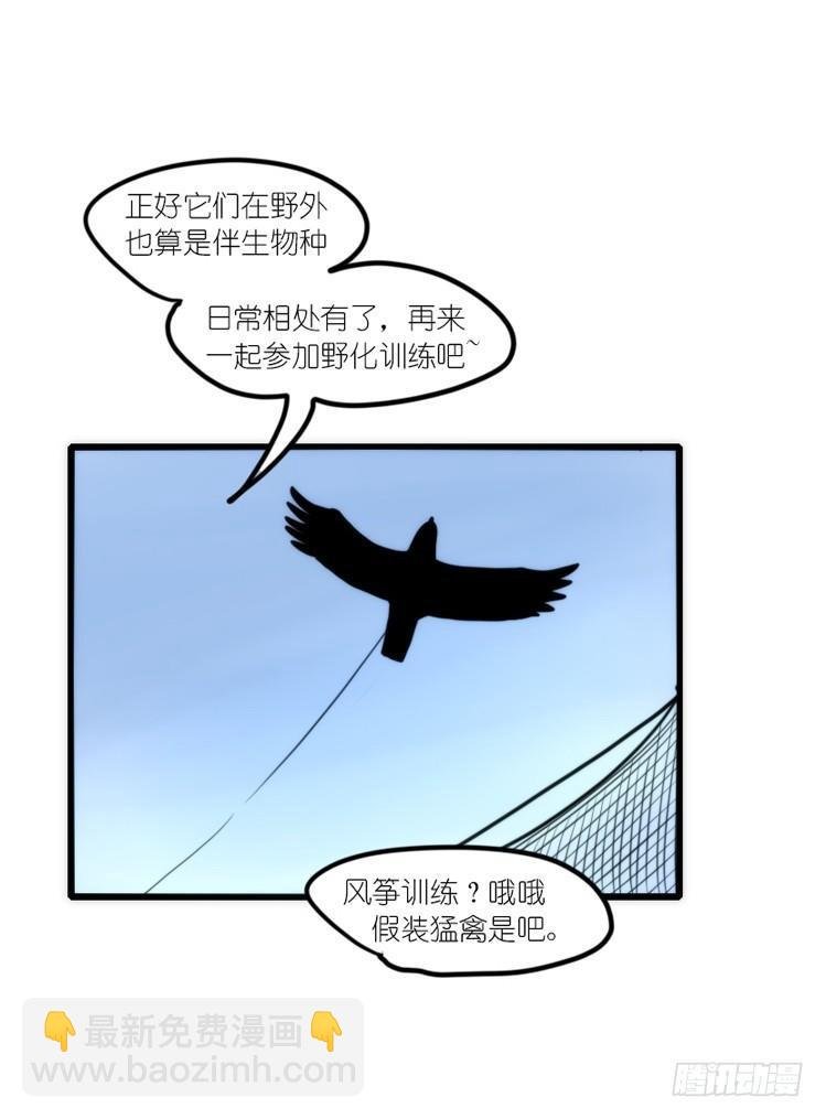 使命篇19：重振绯羽①