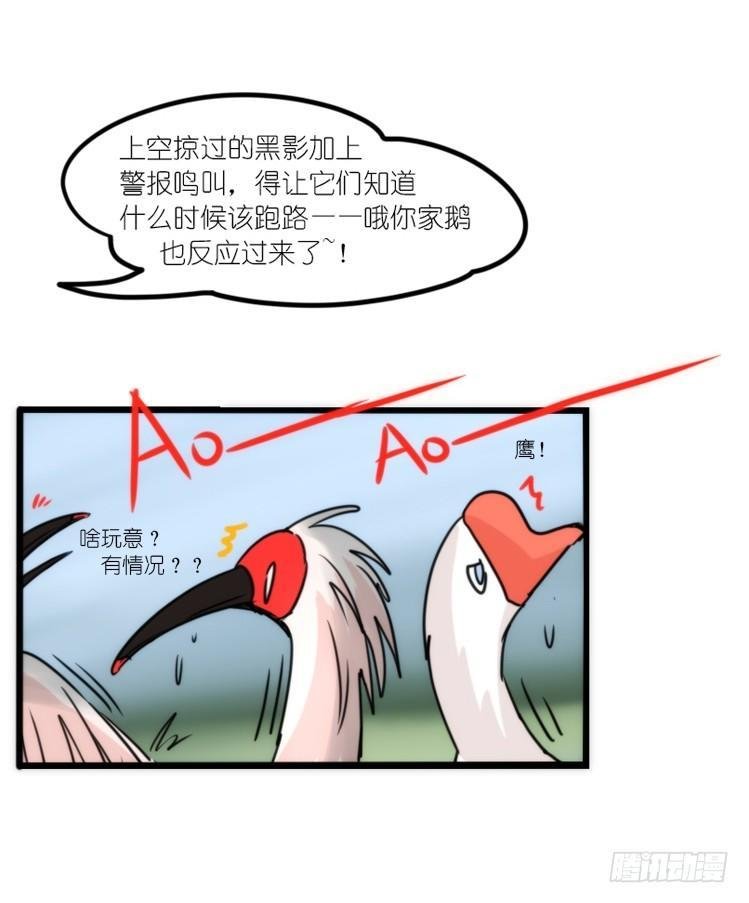 使命篇19：重振绯羽①