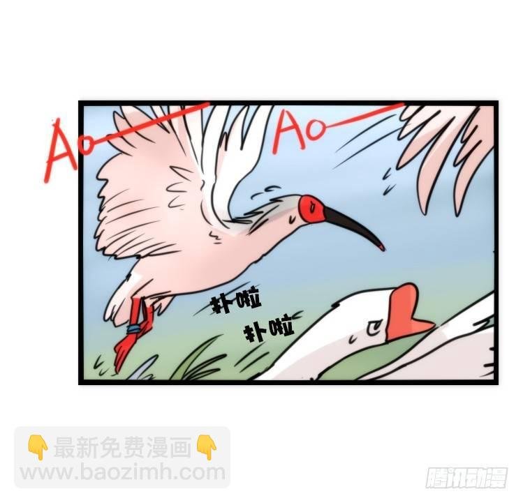使命篇19：重振绯羽①