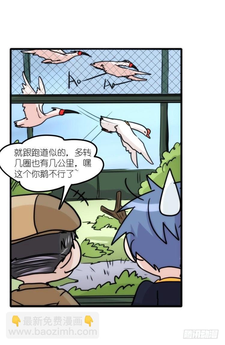 使命篇19：重振绯羽①