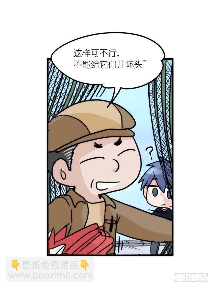 使命篇19：重振绯羽①