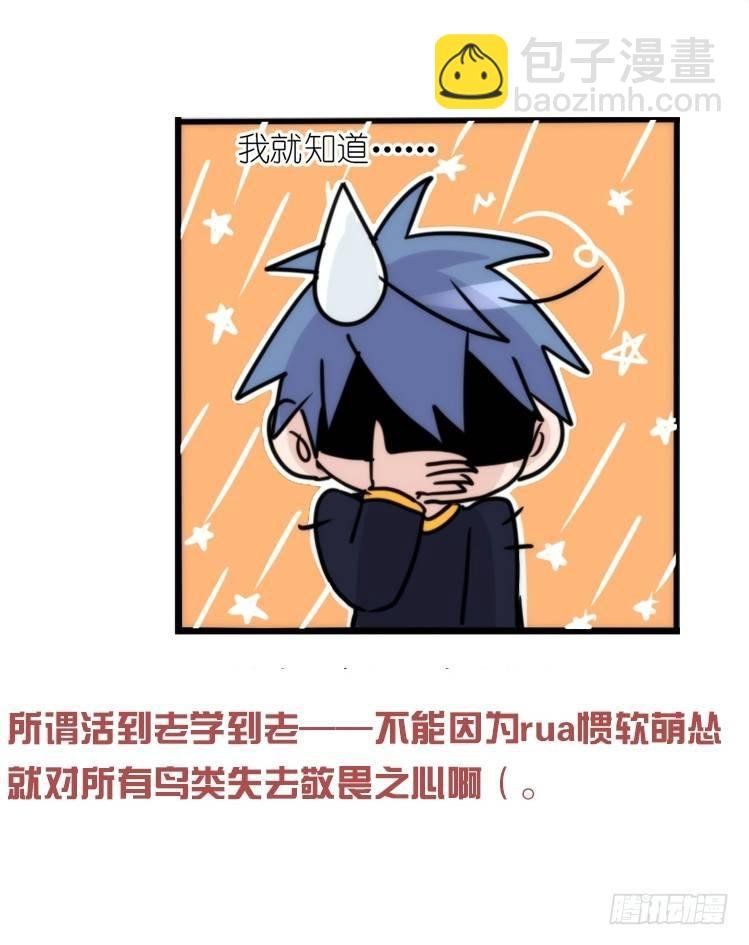 使命篇19：重振绯羽①