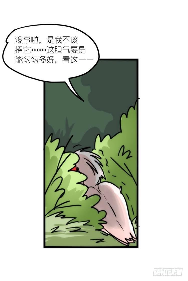 使命篇19：重振绯羽①