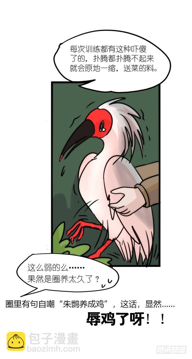 使命篇19：重振绯羽①