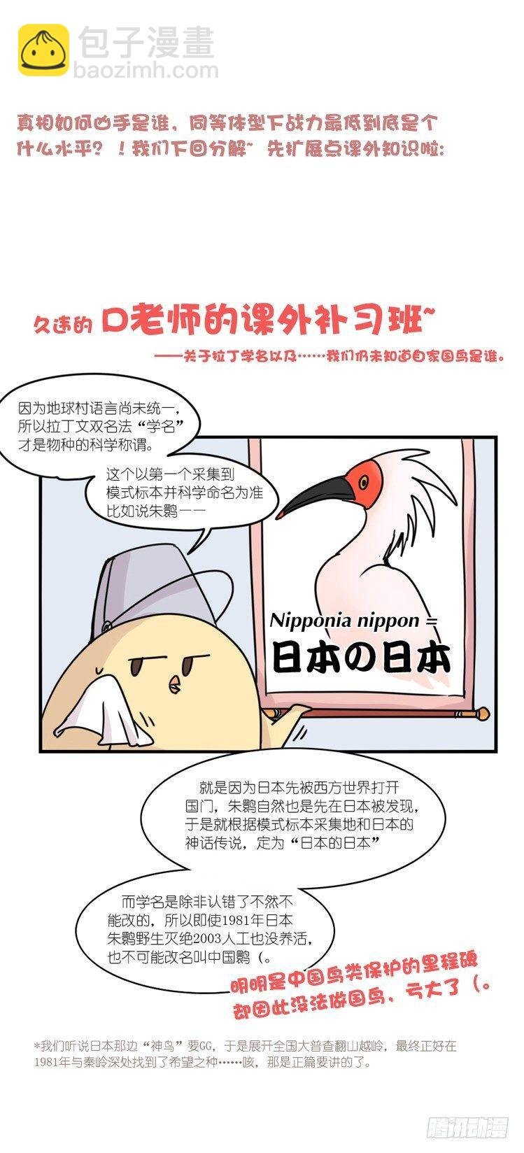 使命篇19：重振绯羽①