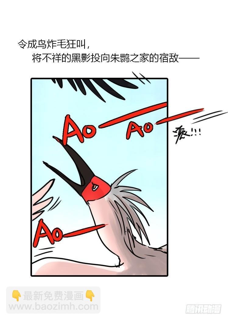使命篇20：重振绯羽②