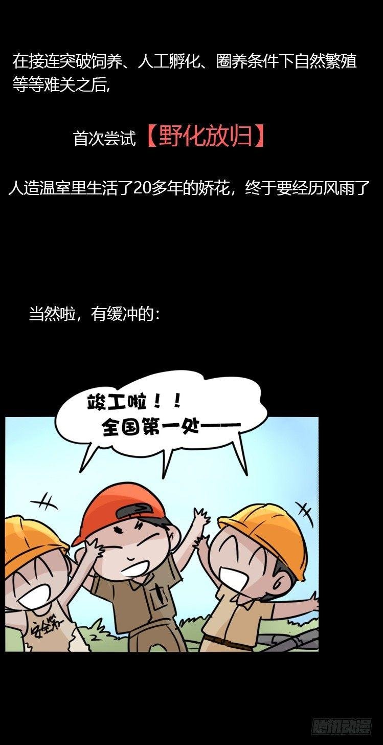 使命篇20：重振绯羽②