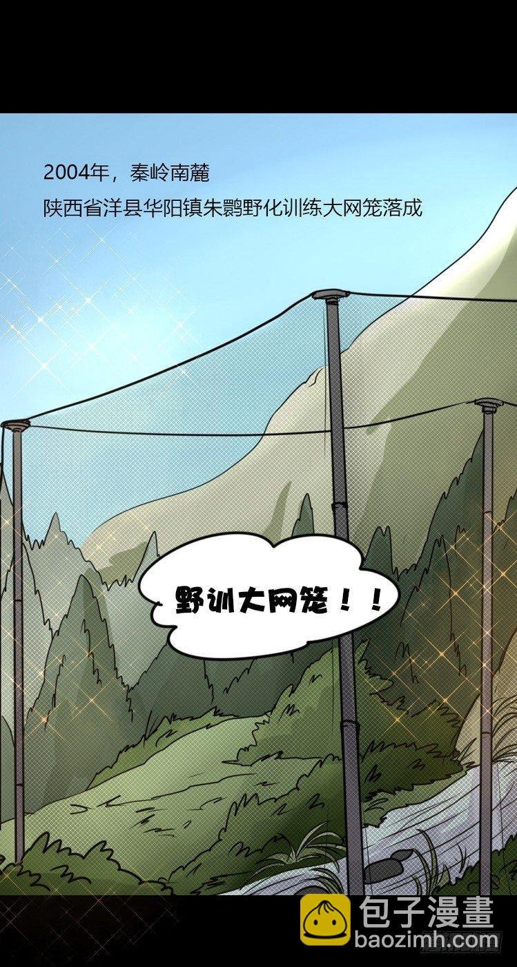 使命篇20：重振绯羽②