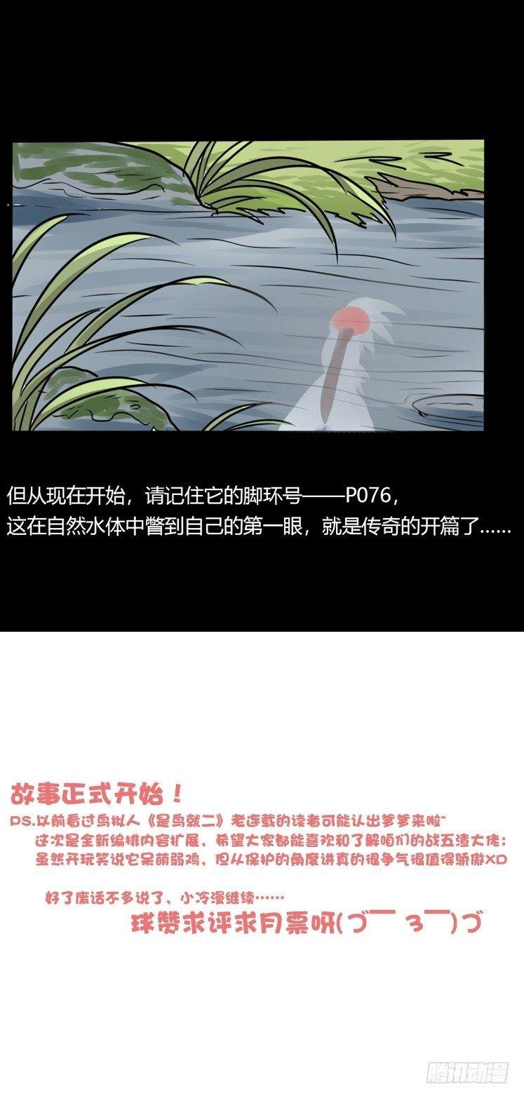使命篇20：重振绯羽②