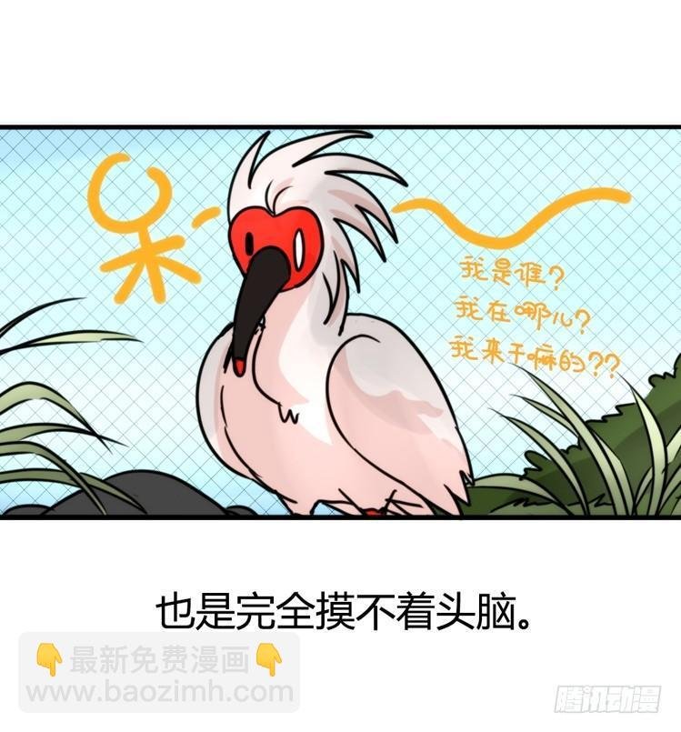 使命篇21：重振绯羽③
