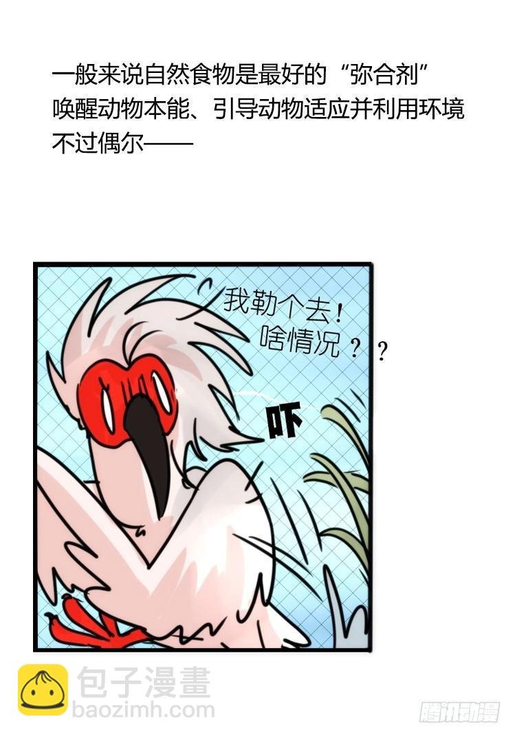 使命篇21：重振绯羽③