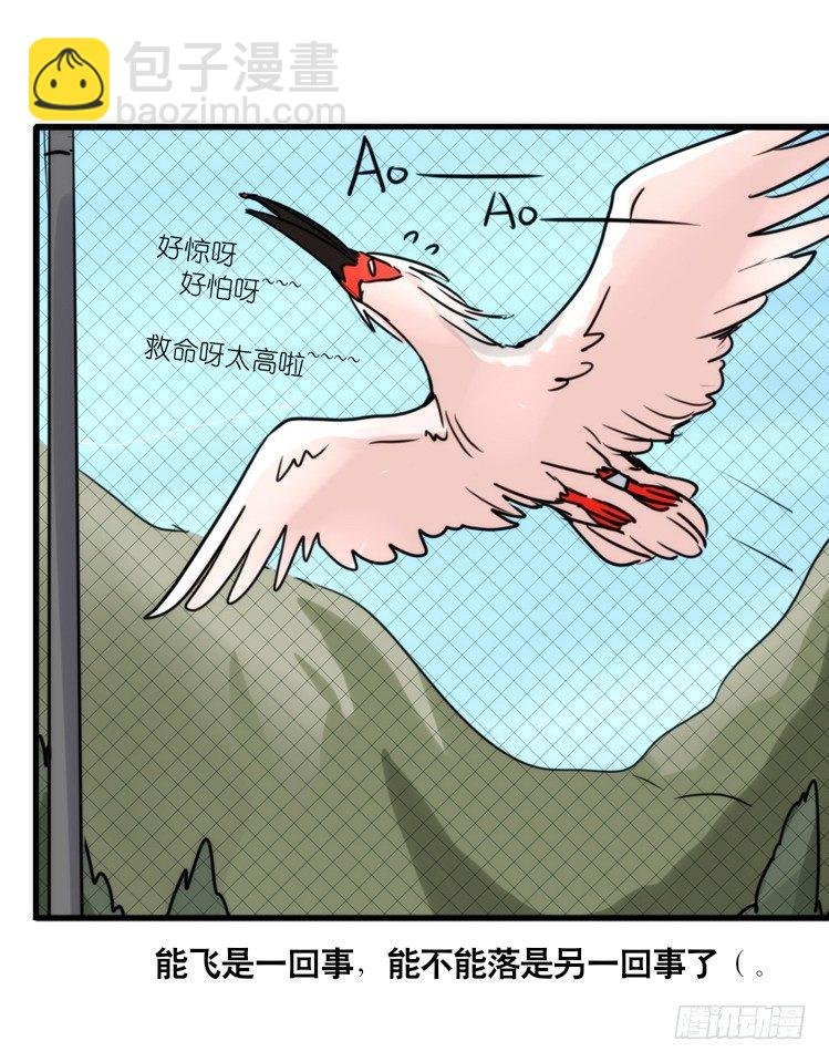 使命篇21：重振绯羽③