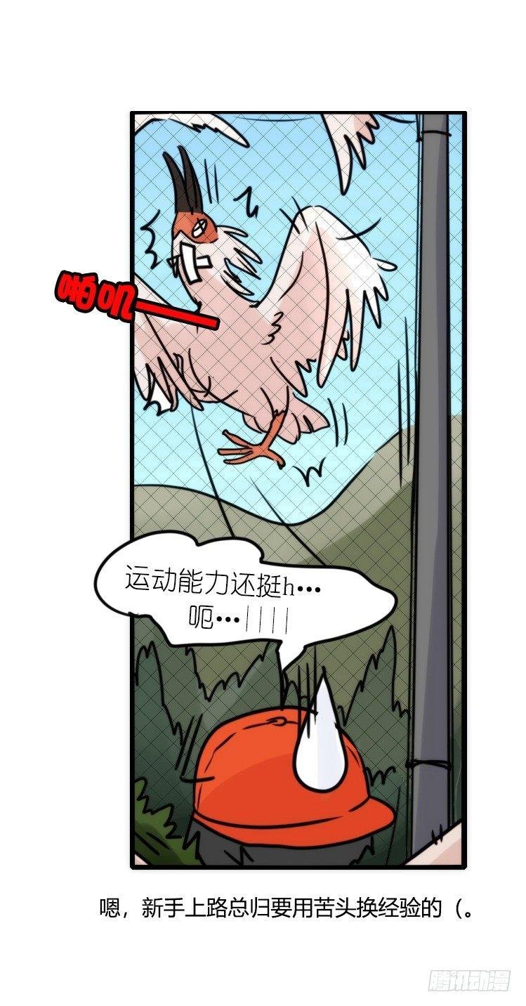 使命篇21：重振绯羽③