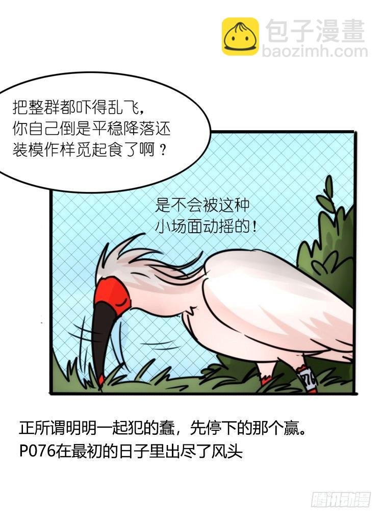 使命篇21：重振绯羽③