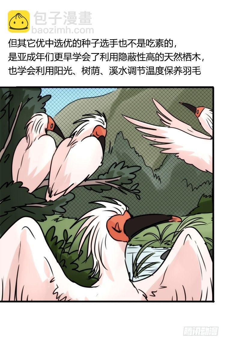 使命篇21：重振绯羽③