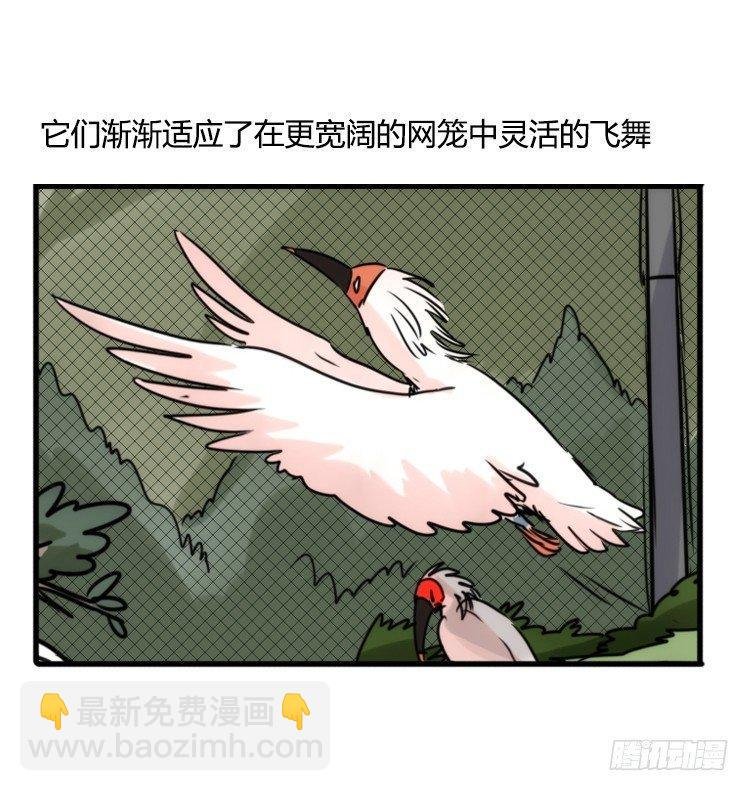 使命篇21：重振绯羽③