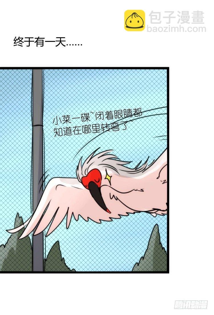 使命篇21：重振绯羽③