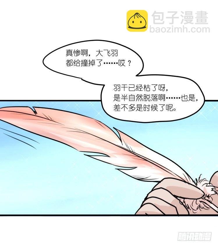 使命篇21：重振绯羽③