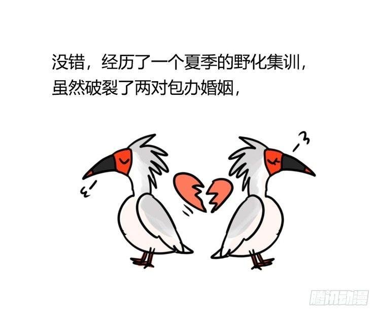 使命篇21：重振绯羽③