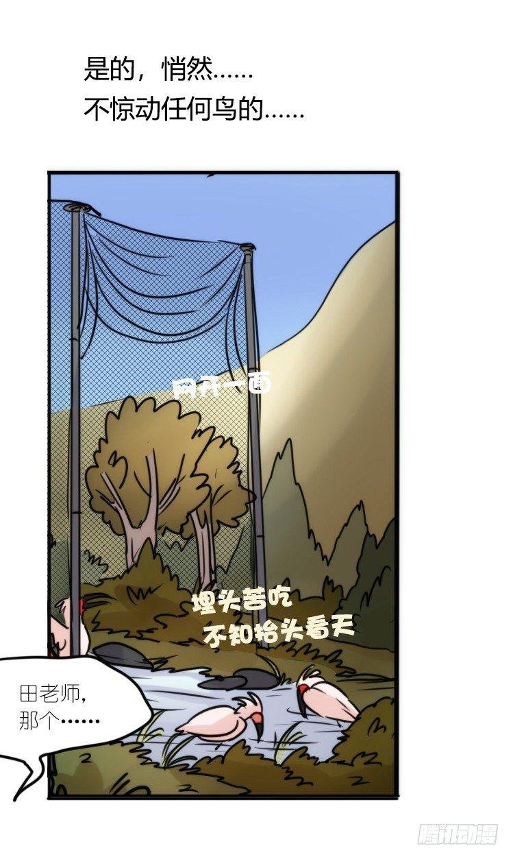 使命篇21：重振绯羽③