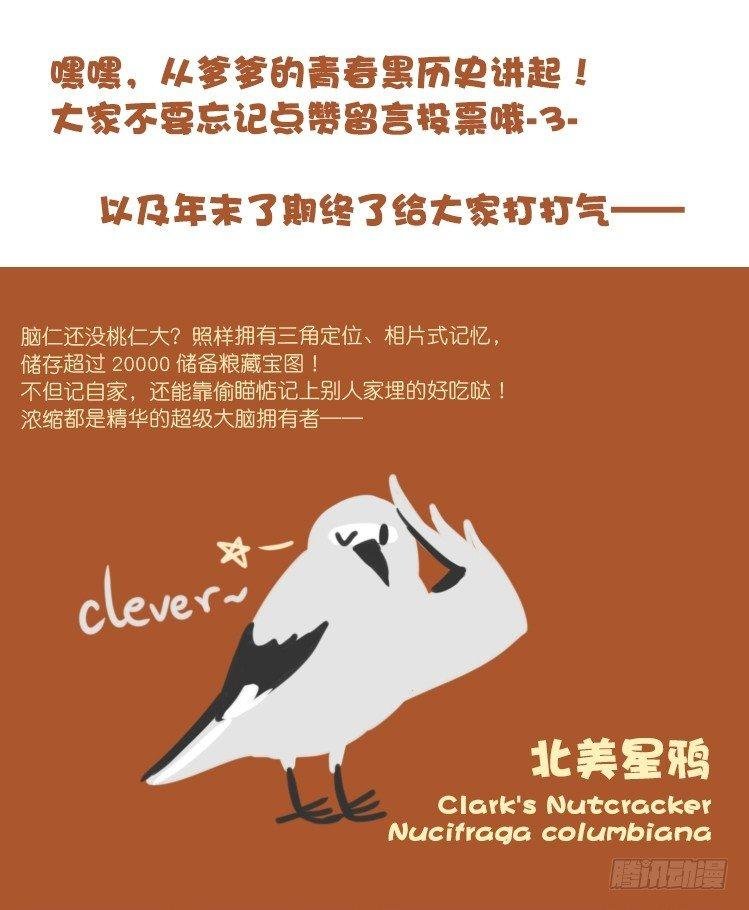 使命篇21：重振绯羽③