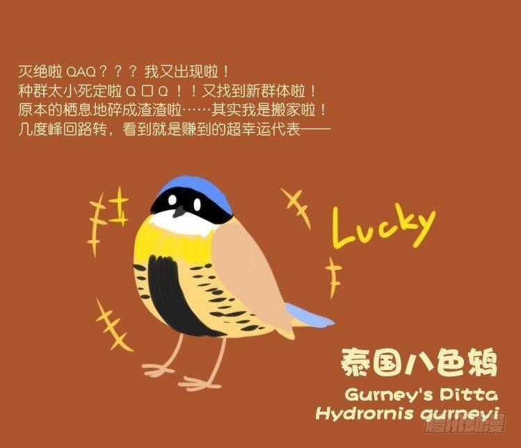 使命篇21：重振绯羽③