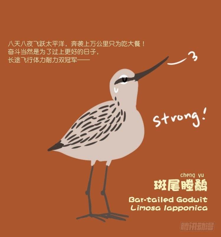 使命篇21：重振绯羽③